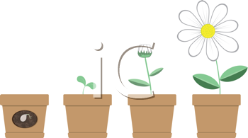 Flower Growing Clipart 72777