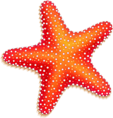 Starfish Clipart  Starfish Clip Art Image