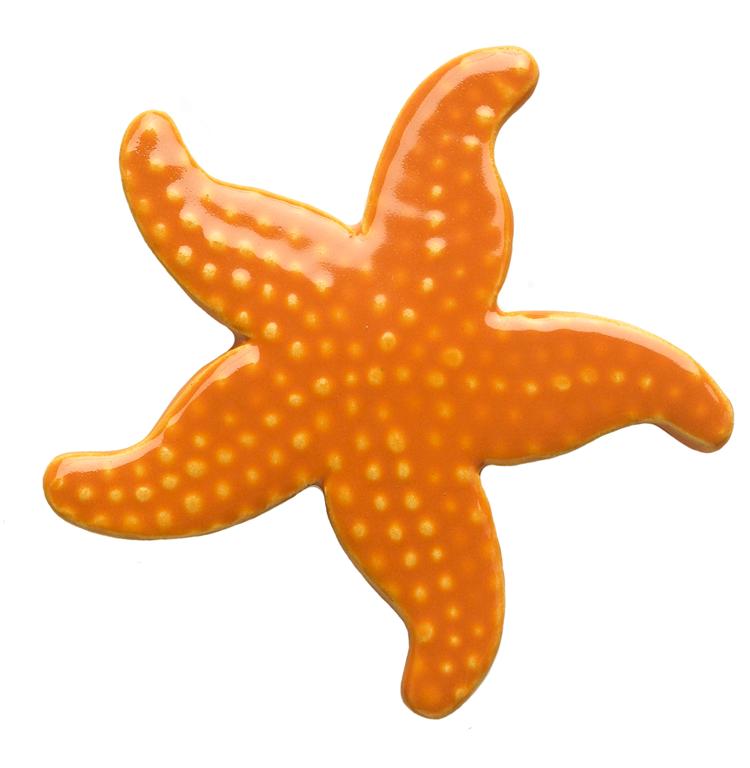Clip Arts Related To : Starfish Drawing Animation - sea star png download -...