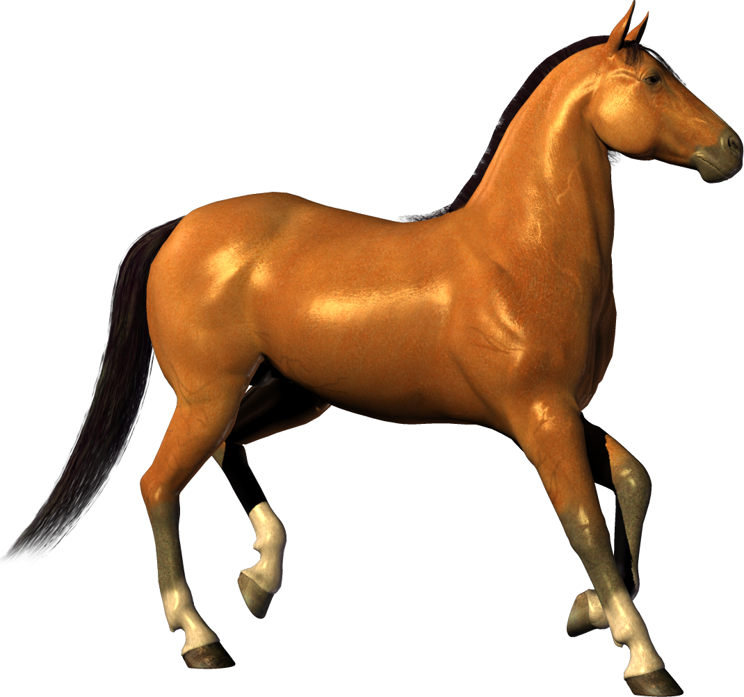 Transparent horse clipart
