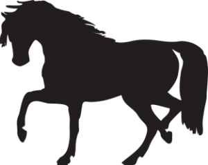 Horse clipart with clear background