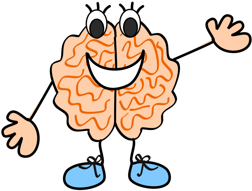 Brain clipart for kids png