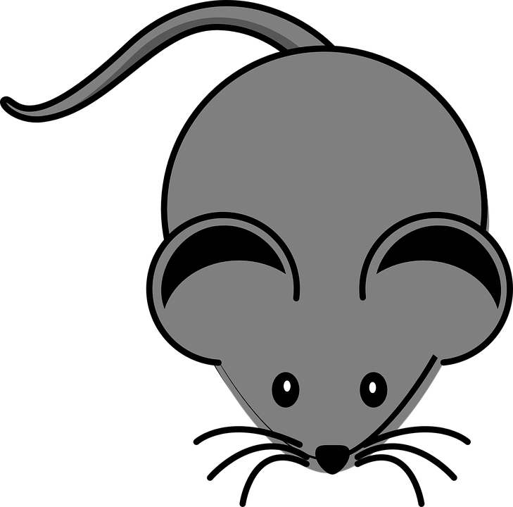 Free Mouse Clipart Transparent, Download Free Mouse Clipart Transparent png  images, Free ClipArts on Clipart Library