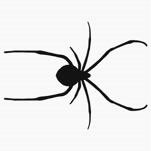 Spider Clip Art With Transparent Background