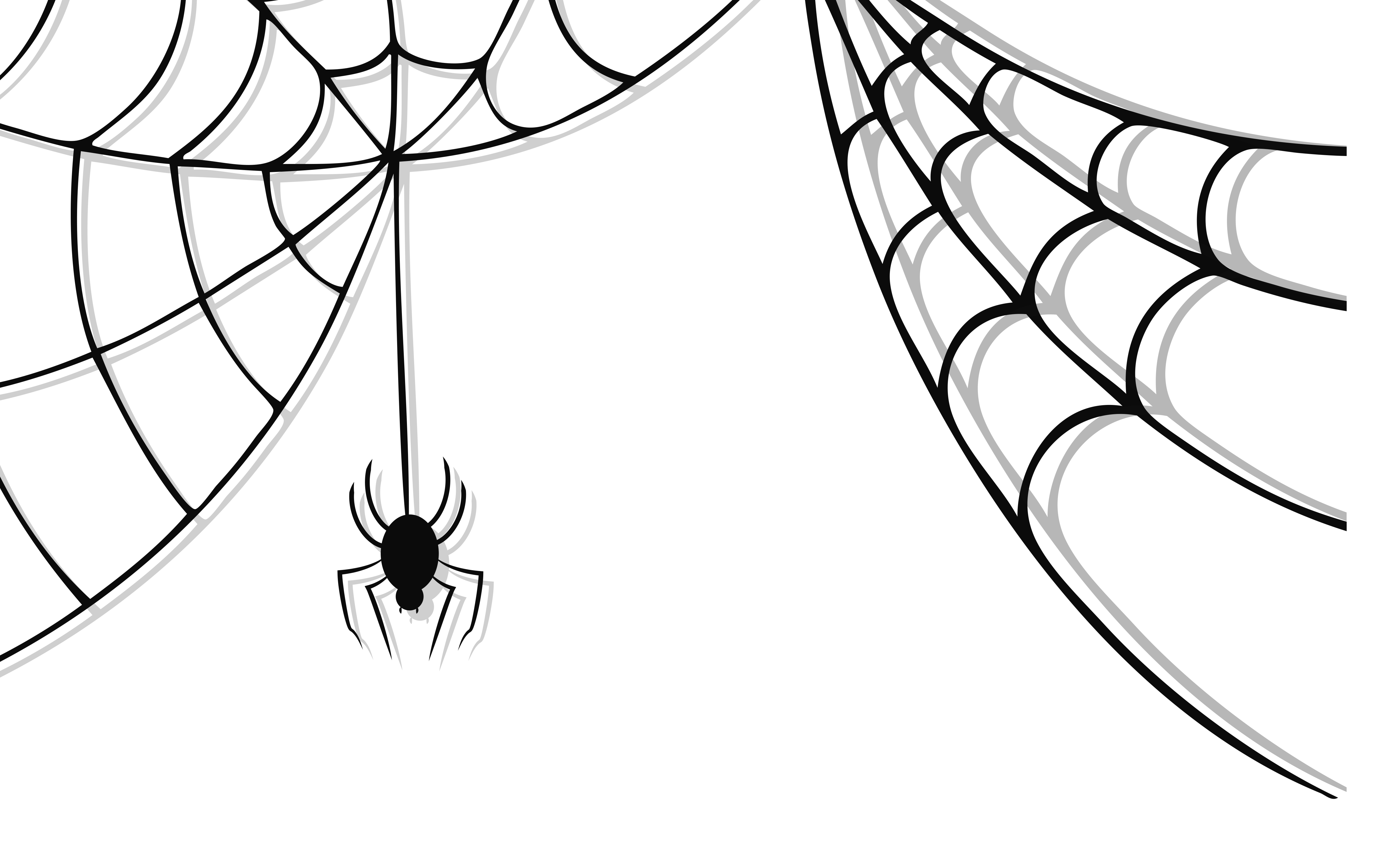 Spider clipart transparent background