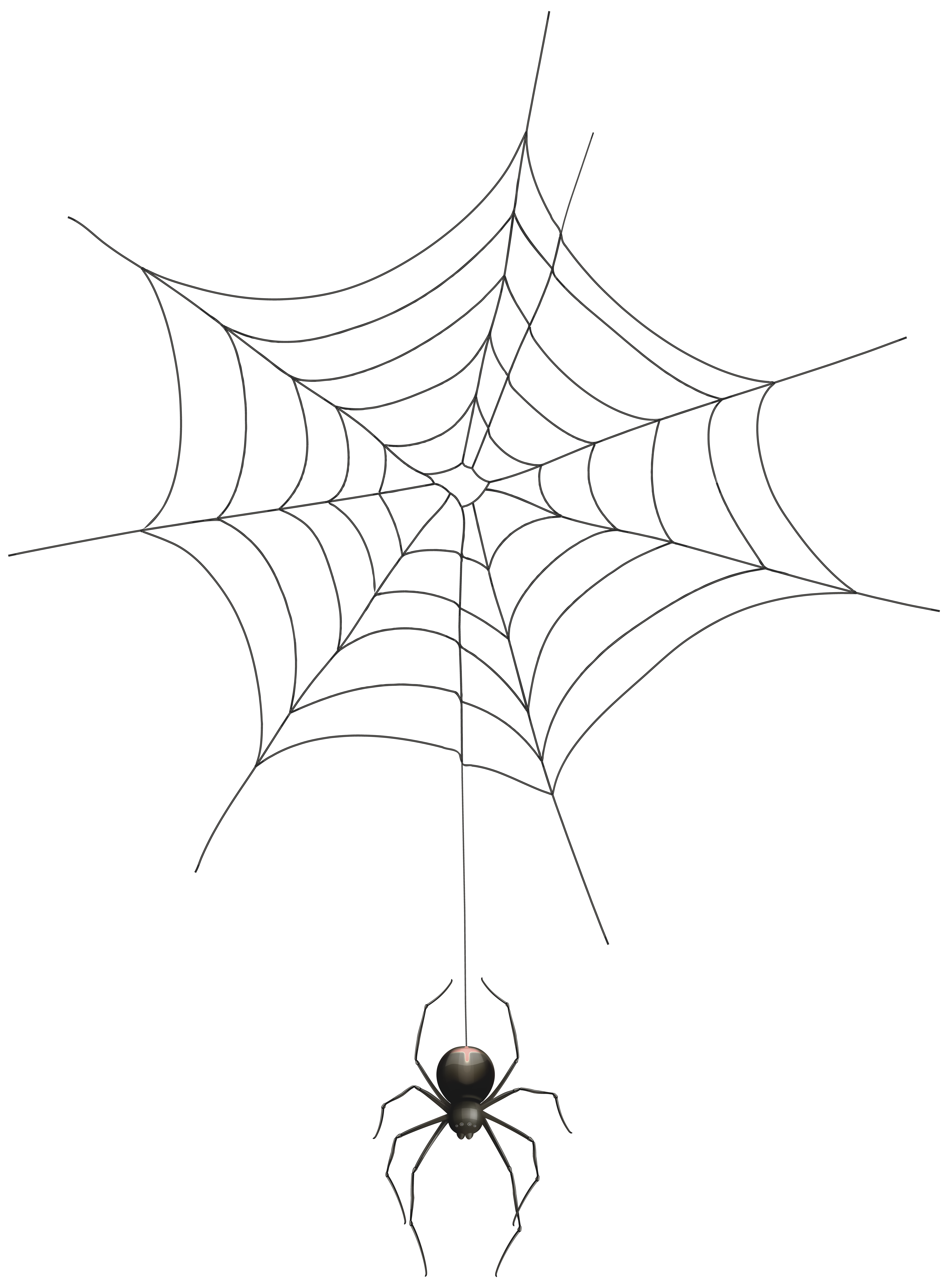 Spider and Web Transparent Clip Art Image