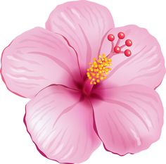 Free Beach Flower Cliparts, Download Free Beach Flower Cliparts png