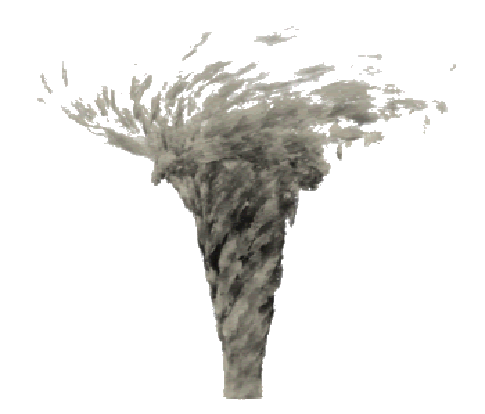 transparent tornado animated gif Clip Art Library