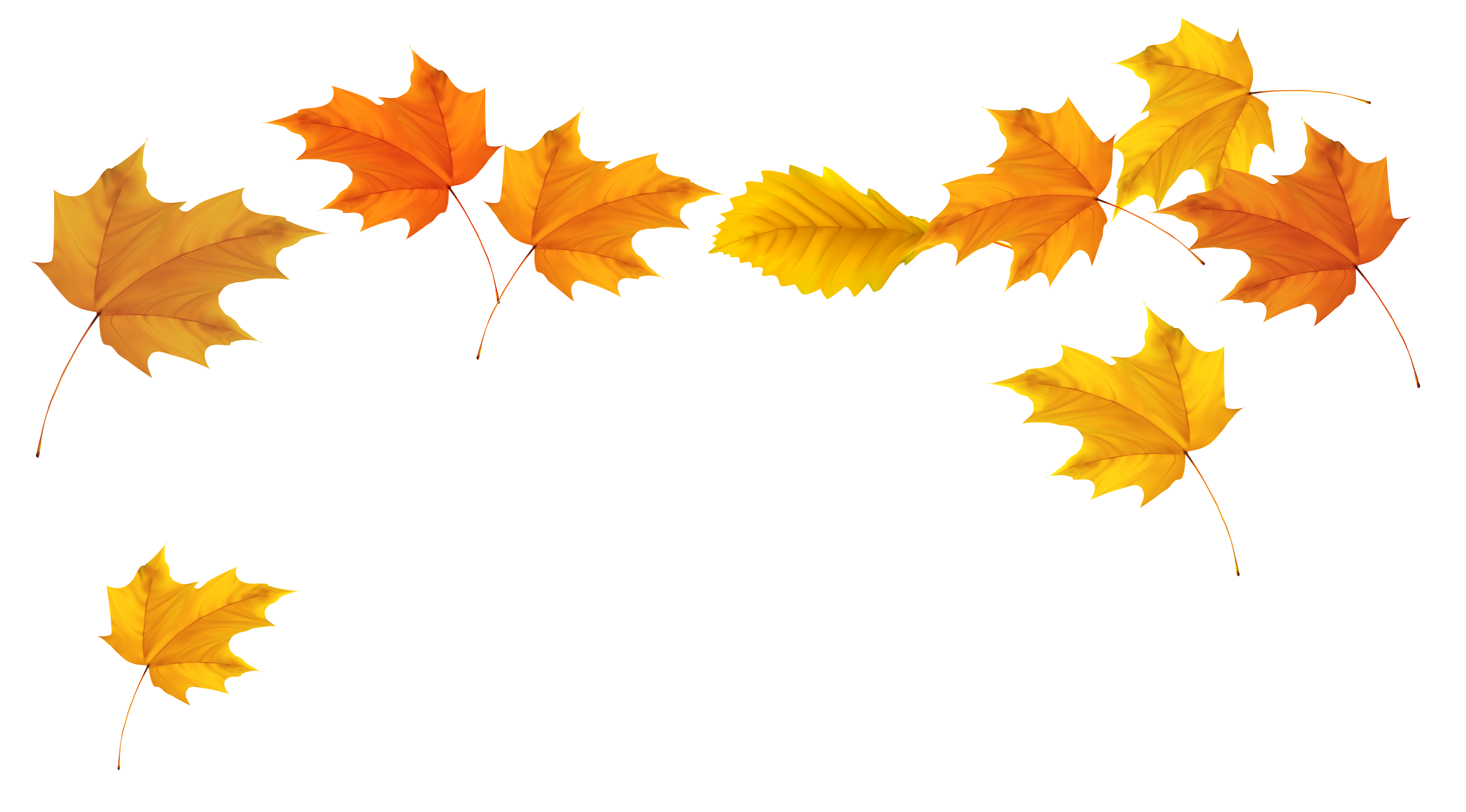Leaves blowing in the wind clipart