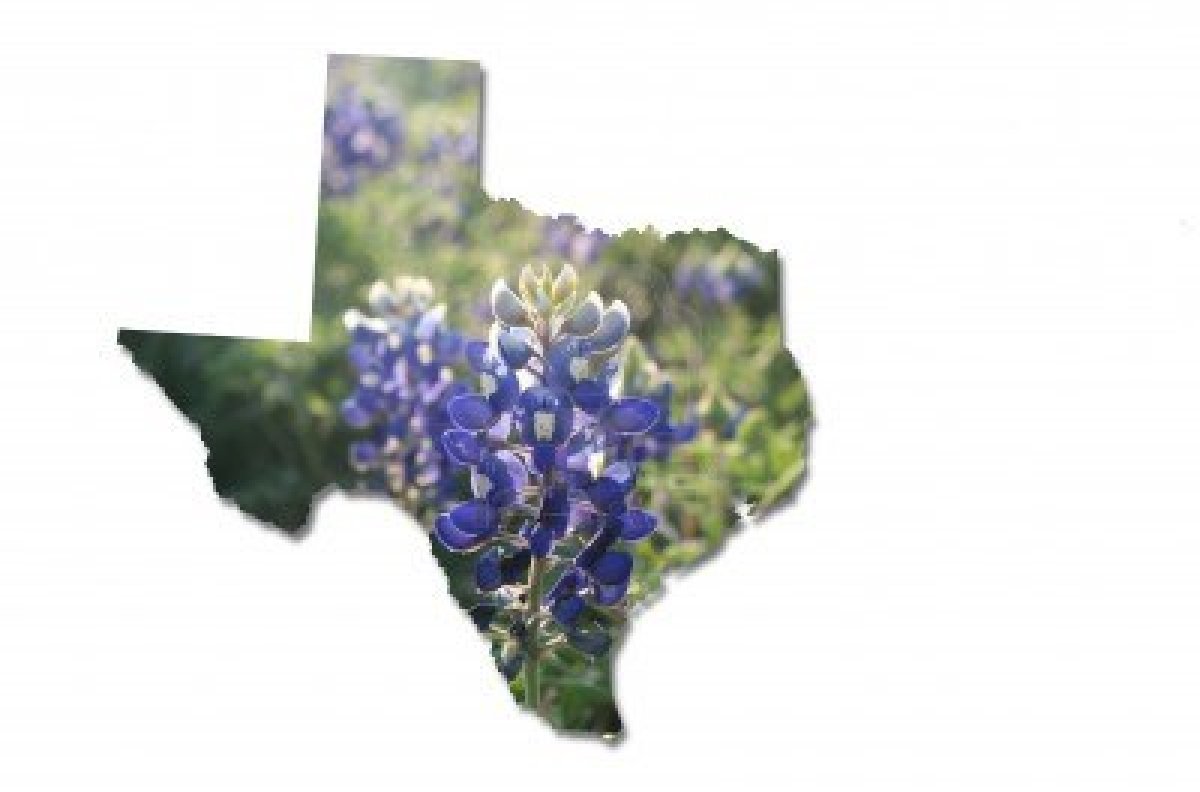 Free Blue Bonnets Cliparts, Download Free Blue Bonnets Cliparts png