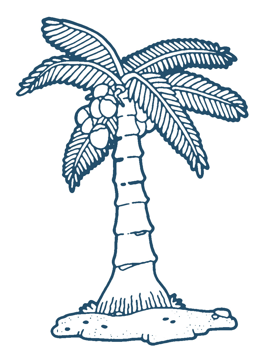 Coconut tree clipart image