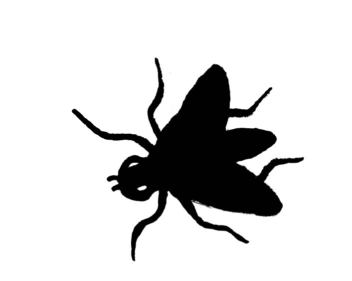 Black Fly Clipart