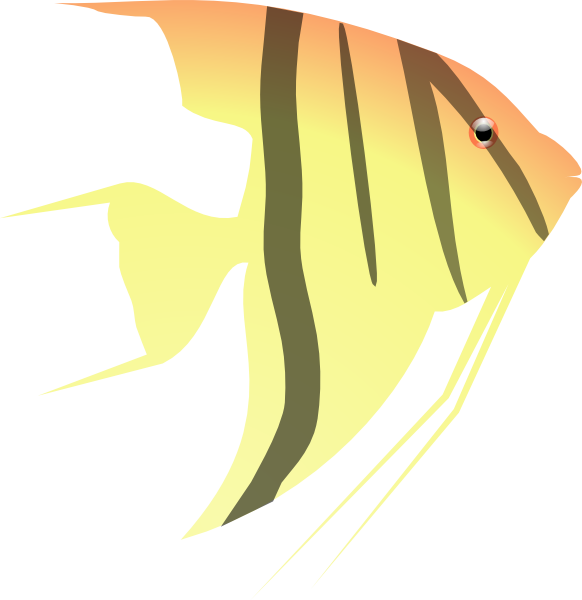 Angel Fish Clip Art at Clker