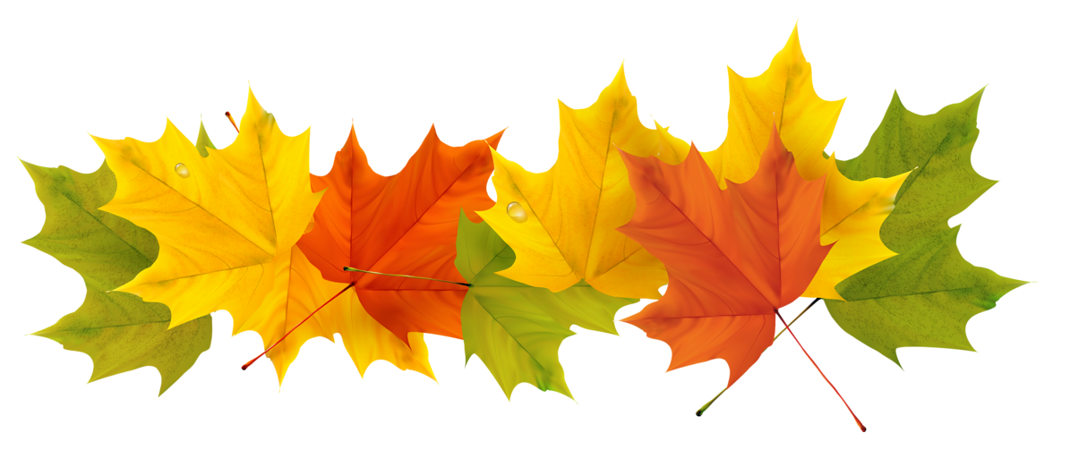 Free Fall Leaves Png Transparent, Download Free Fall Leaves Png