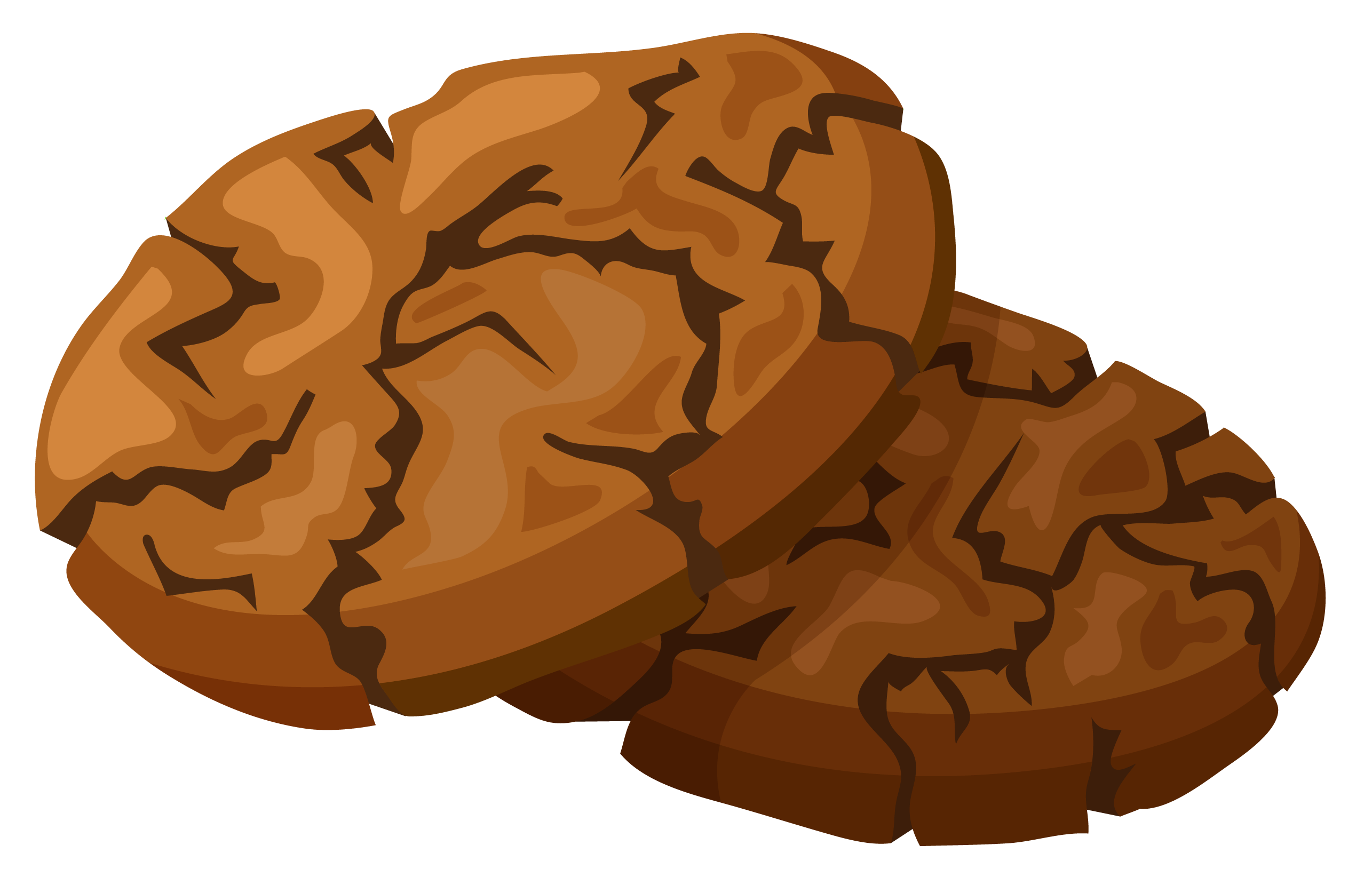 Chocolate Cookie PNG Clipart Picture