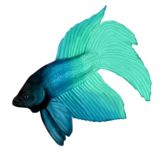 Clip Arts Related To : clipart cute fish. 