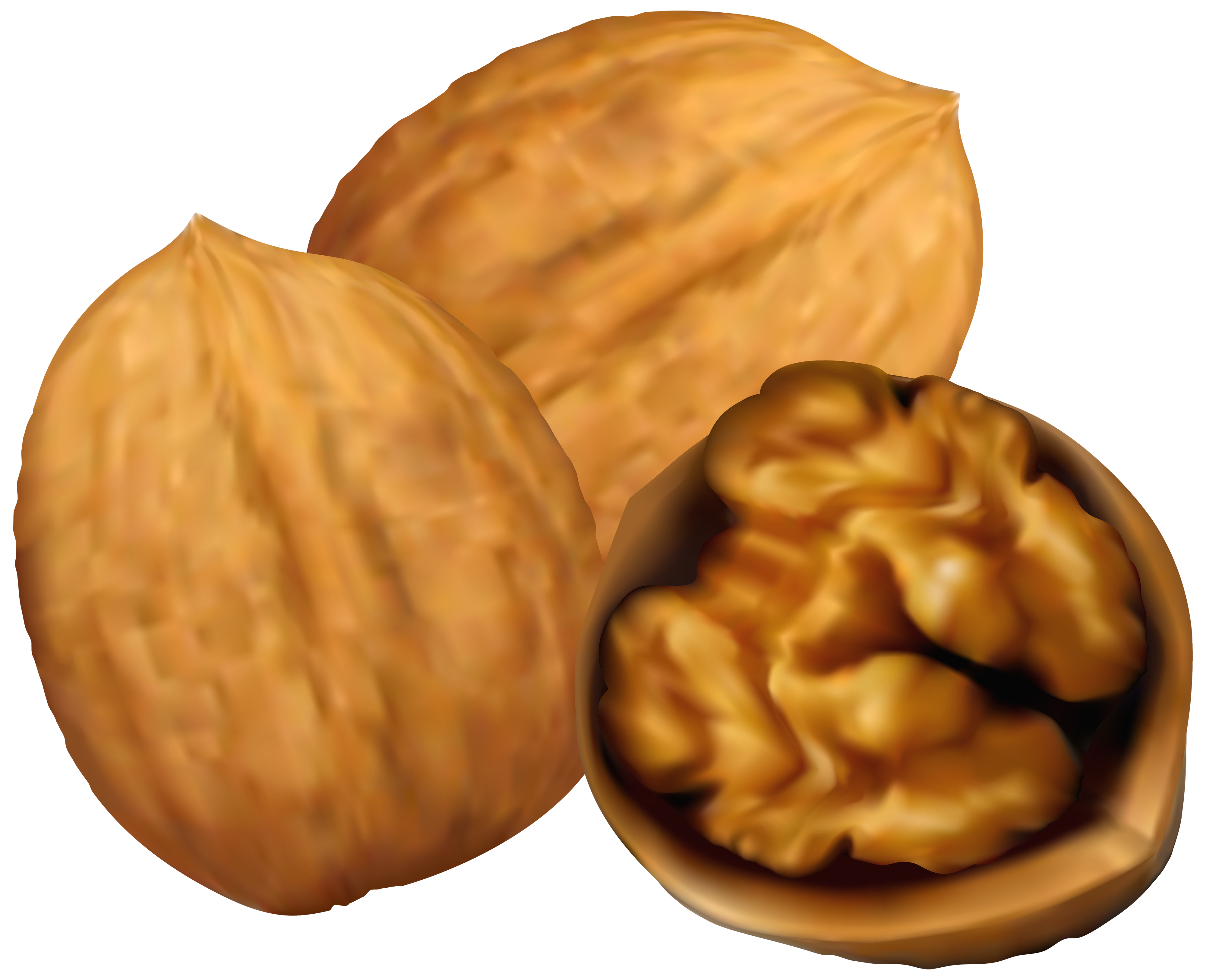 Nuts clipart png
