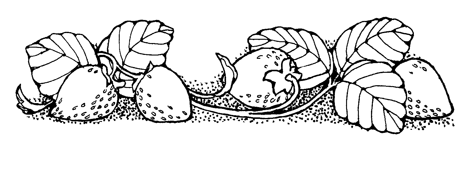 Strawberry clipart black and white