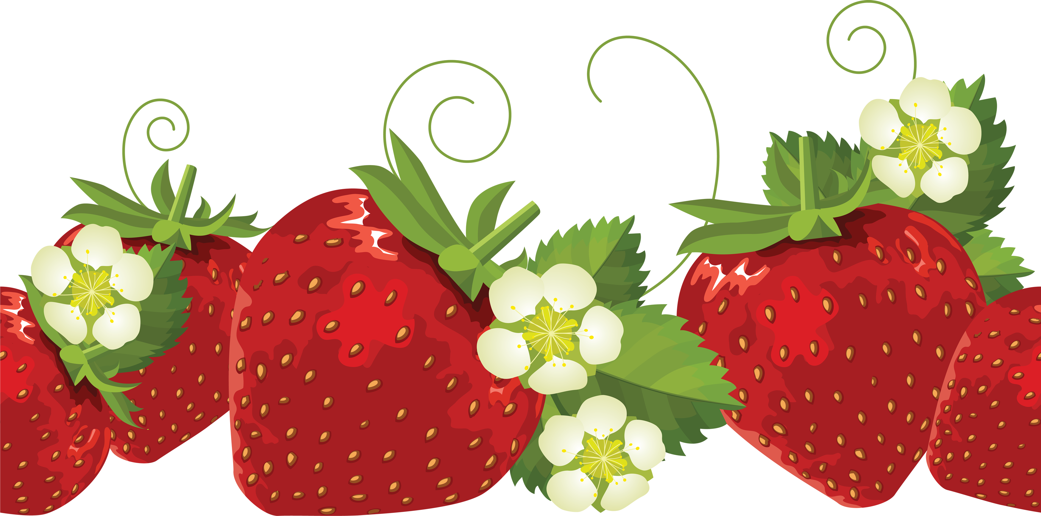 Strawberry clipart black and white free 2