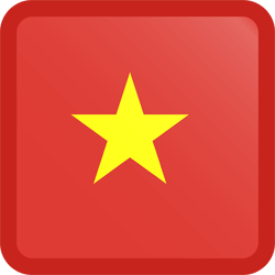 Vietnam flag vector