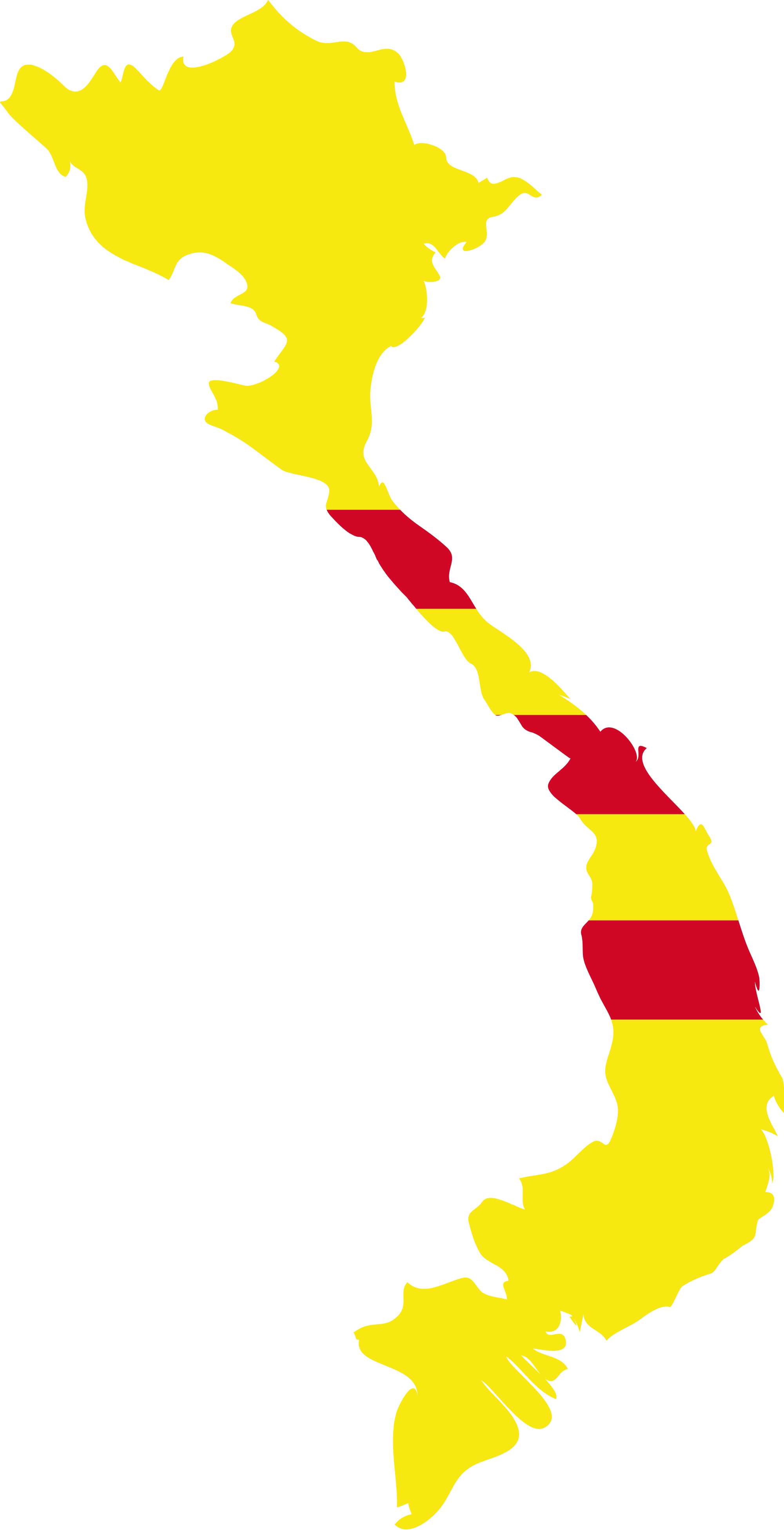 File:Flag map of the State of Vietnam.svg