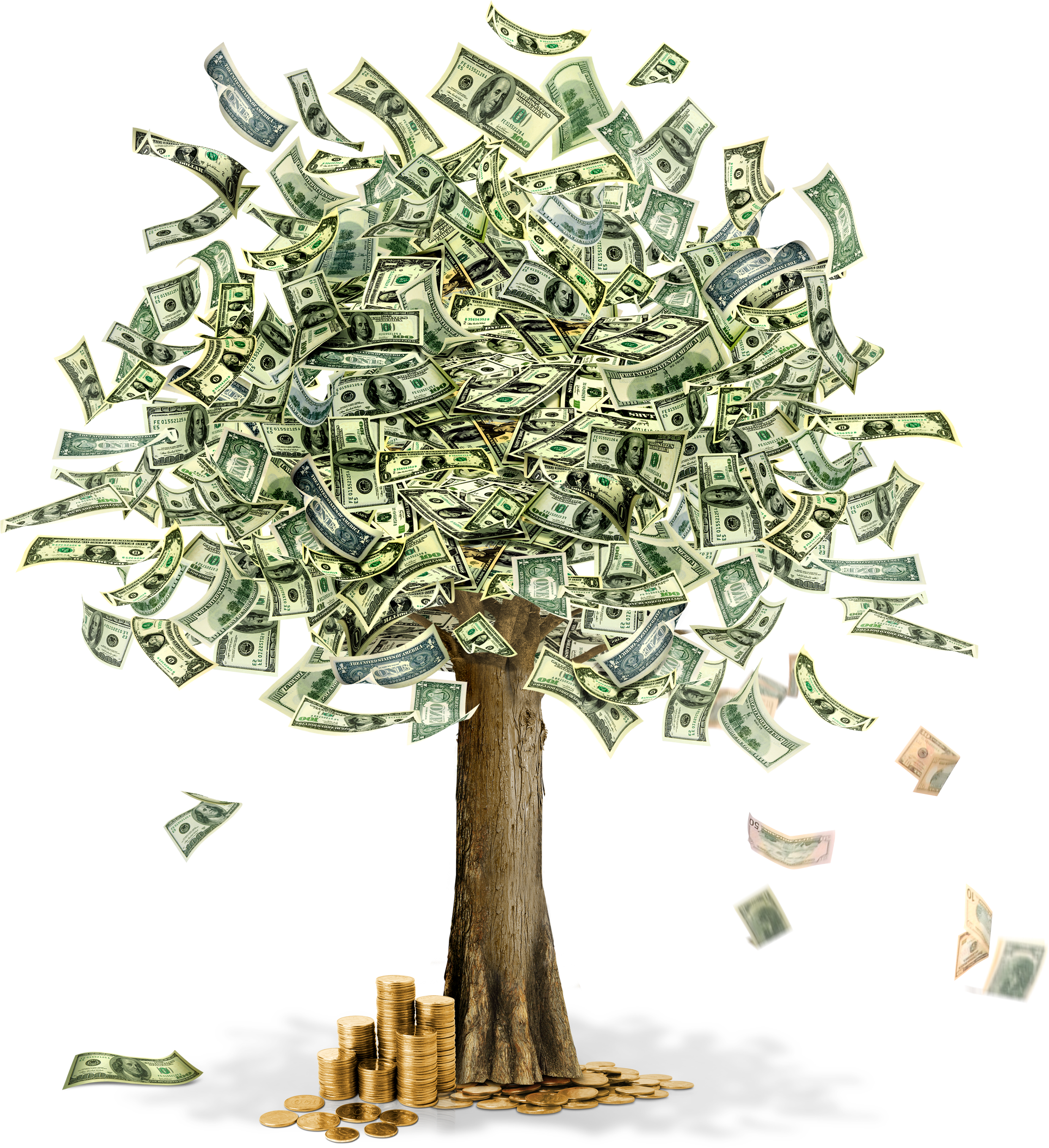 Money Tree Template