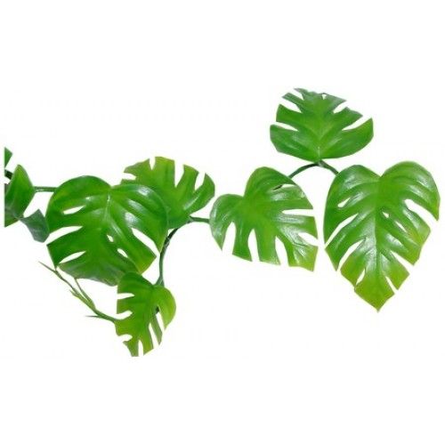 Jungle leaves clip art
