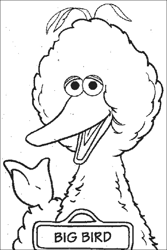 424 Simple Big Bird Coloring Pages Printable Free for Adult