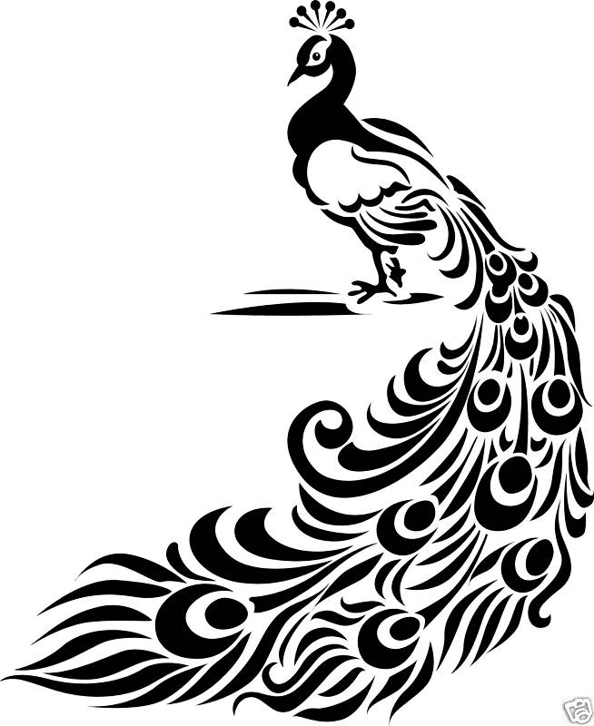 Black And White Peacock Designs