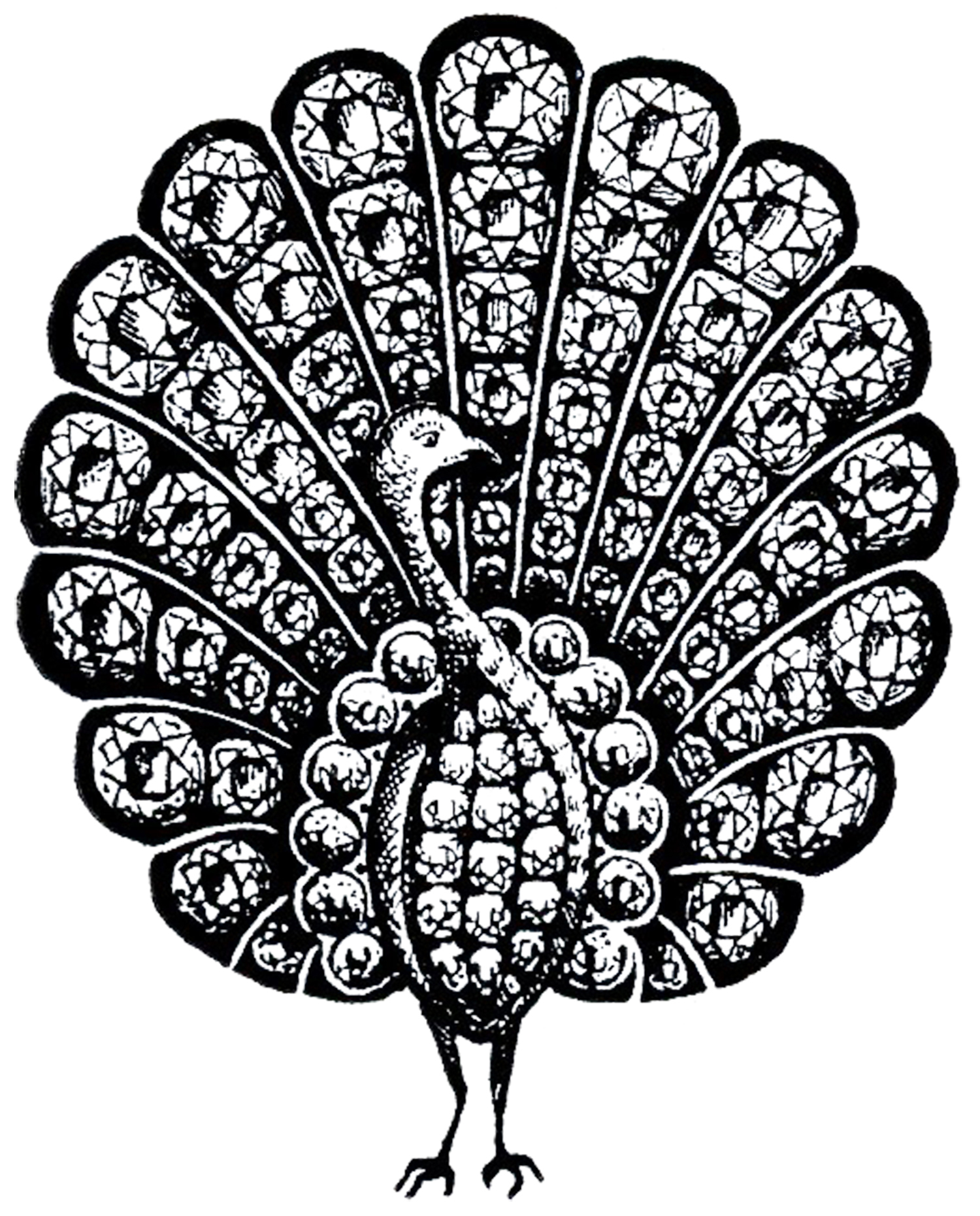 Vintage peacock clipart