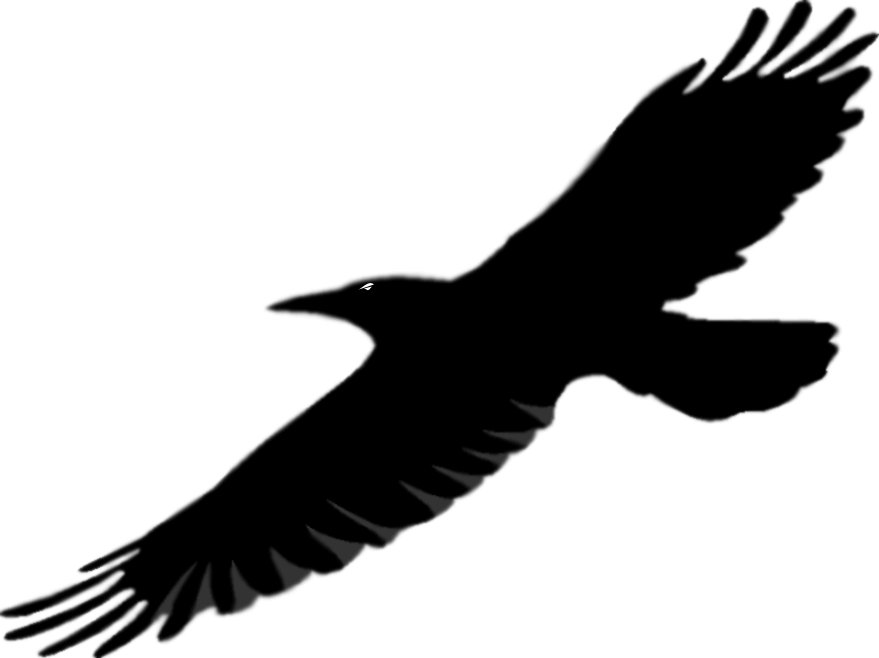 free-raven-outline-cliparts-download-free-raven-outline-cliparts-png