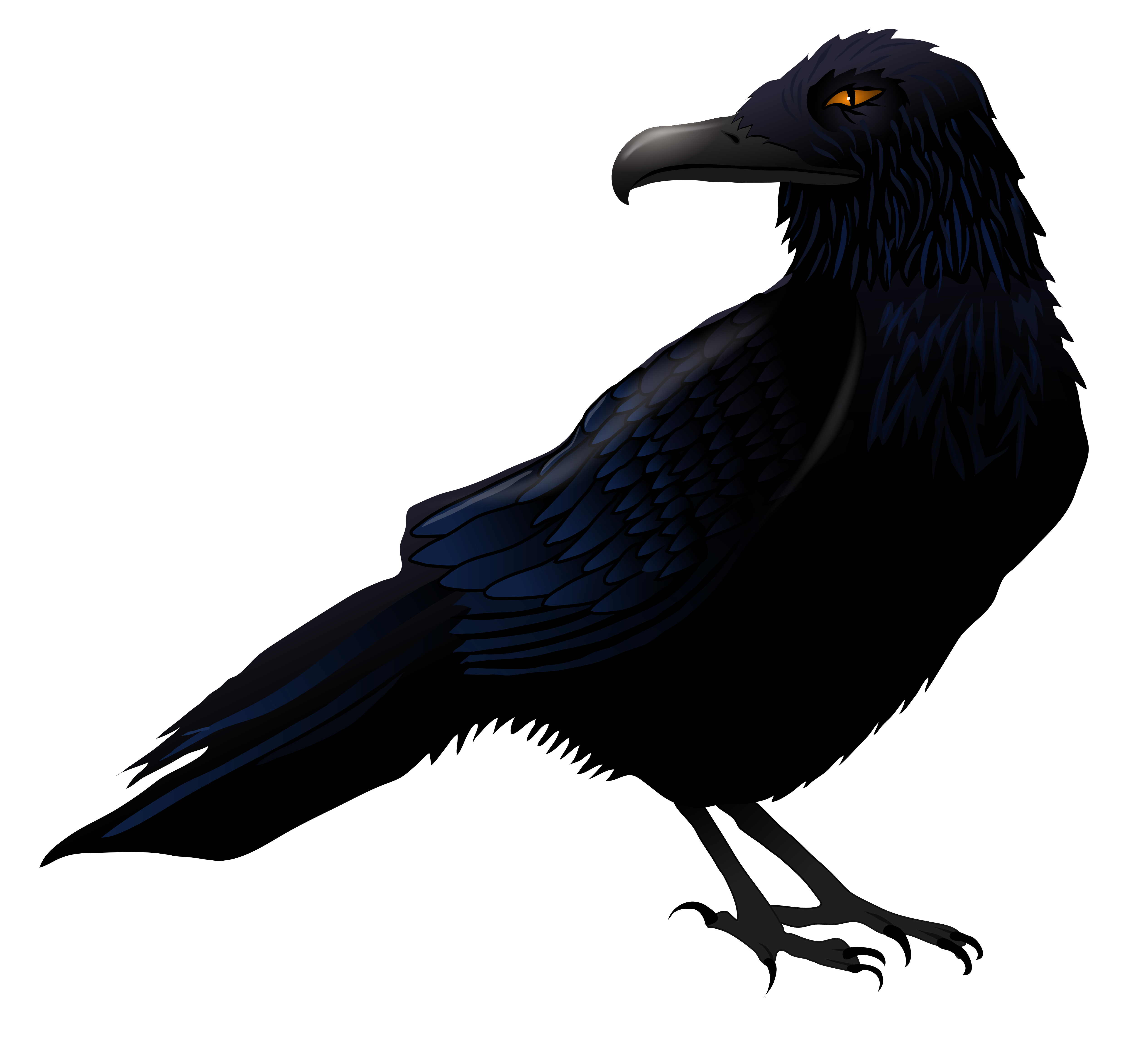 Haunted Raven PNG Vector Clipart