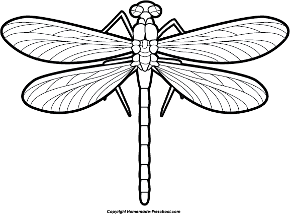 Dragonfly Outline Clipart