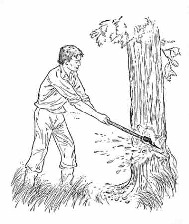 Tree trimming black and white clipart