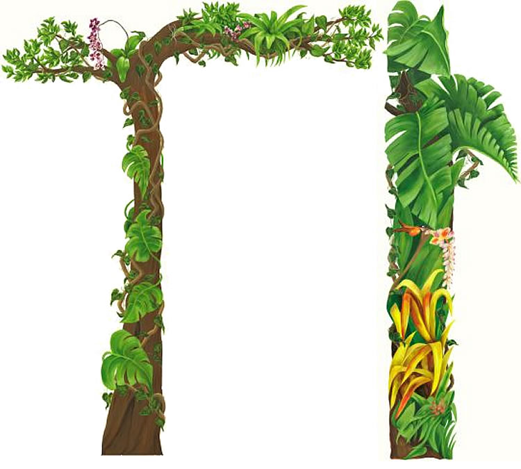 Free Safari Theme Cliparts, Download Free Safari Theme Cliparts png