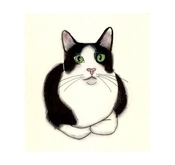 Tuxedo Cat Clipart