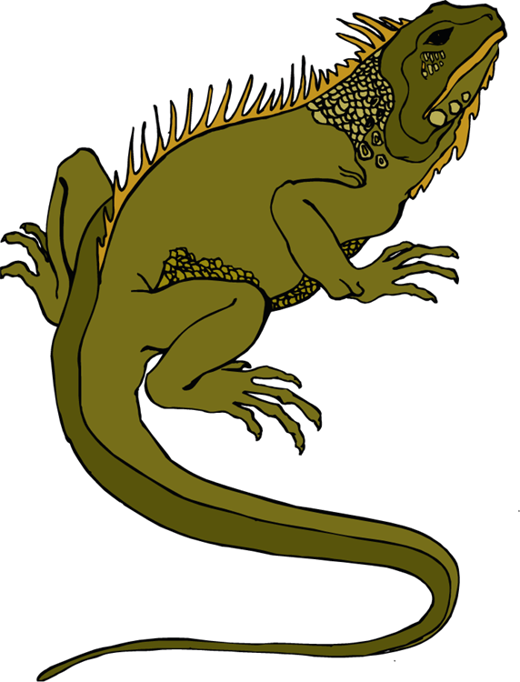 Lizard image clipart