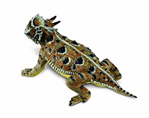 horned toad clip art Gallery