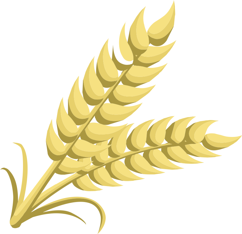 Free Wheat Border Cliparts, Download Free Wheat Border Cliparts png