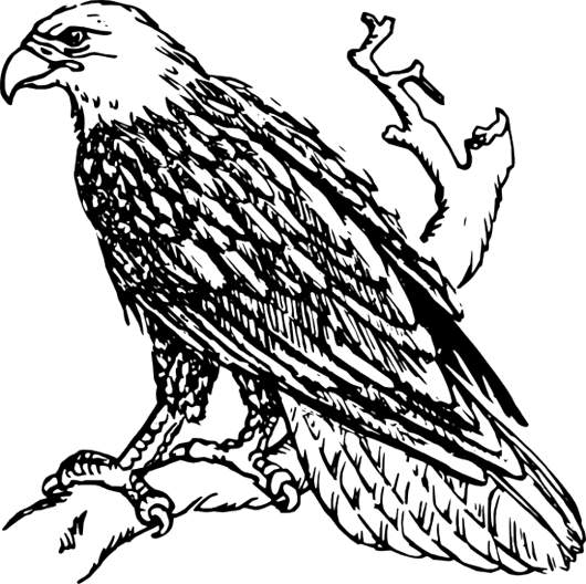 Black and white clipart eagle 