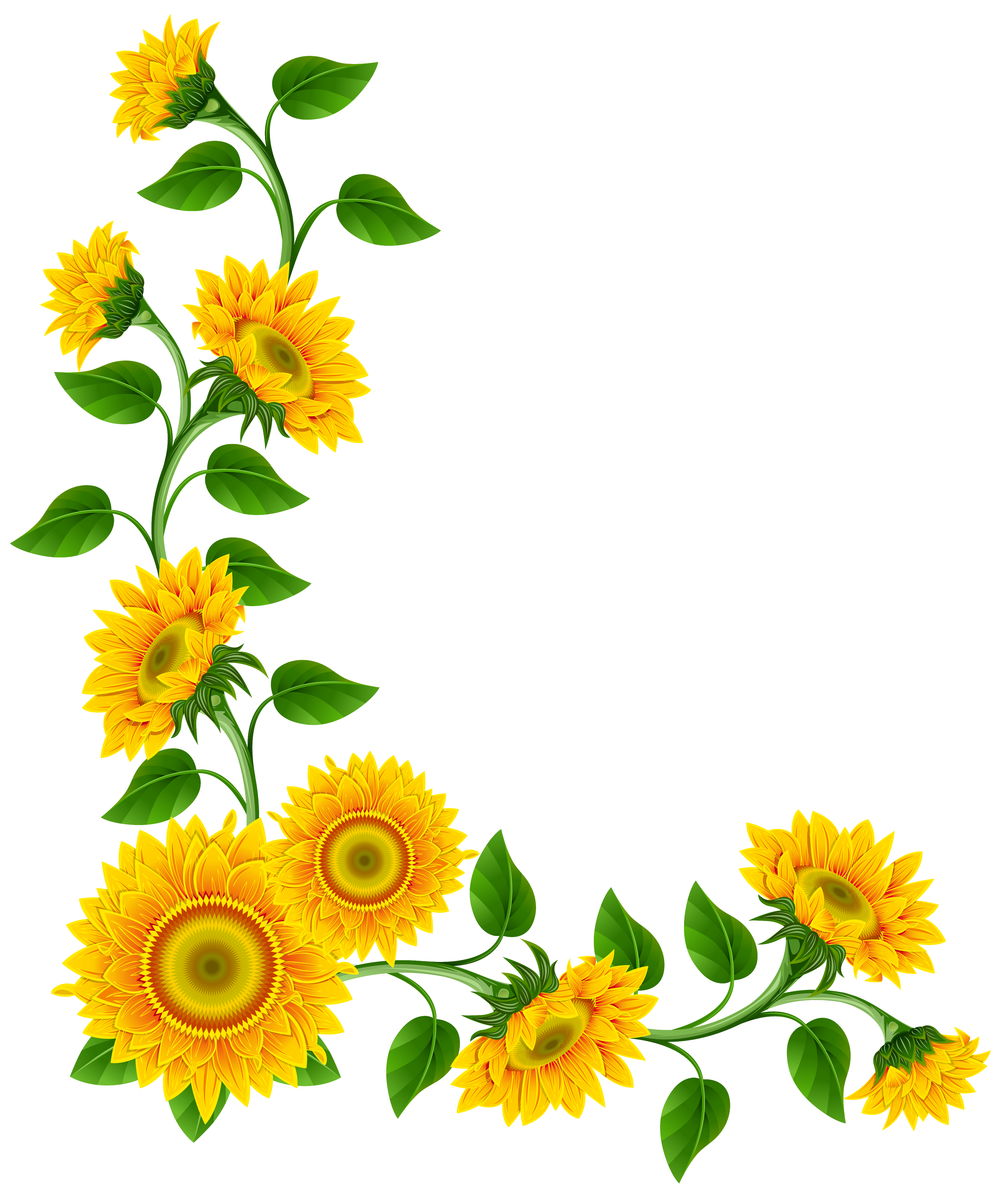 Sunflower Border Decoration PNG Clipart Image