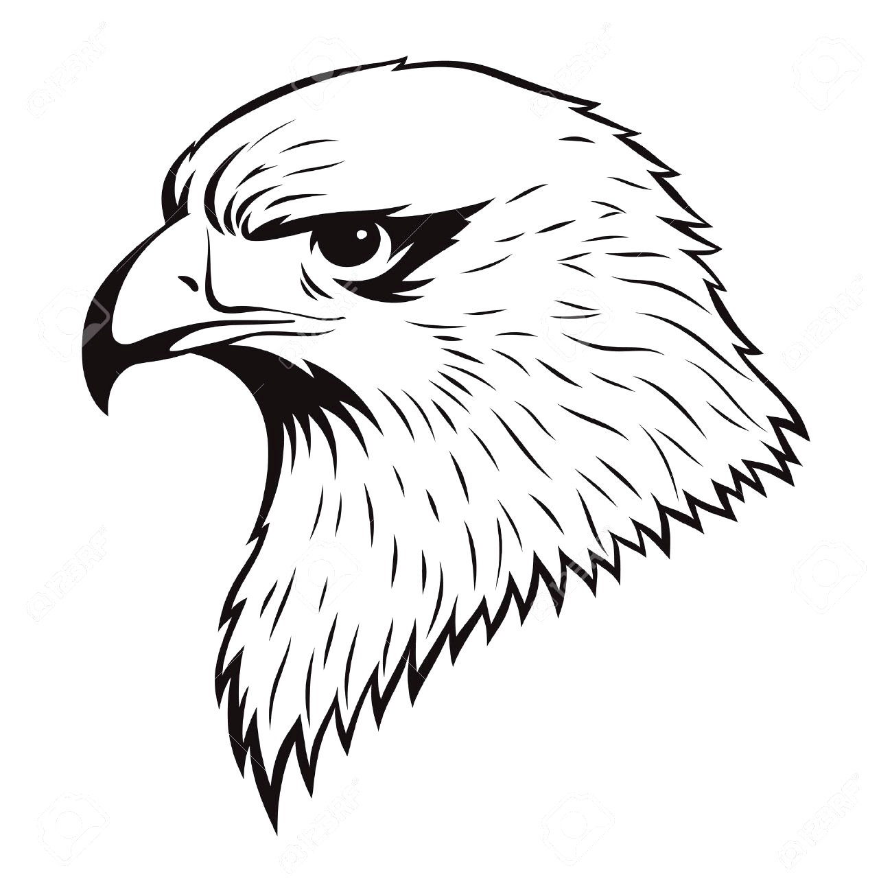 Electric. simple eagle drawings: How To Draw An Eagle Central