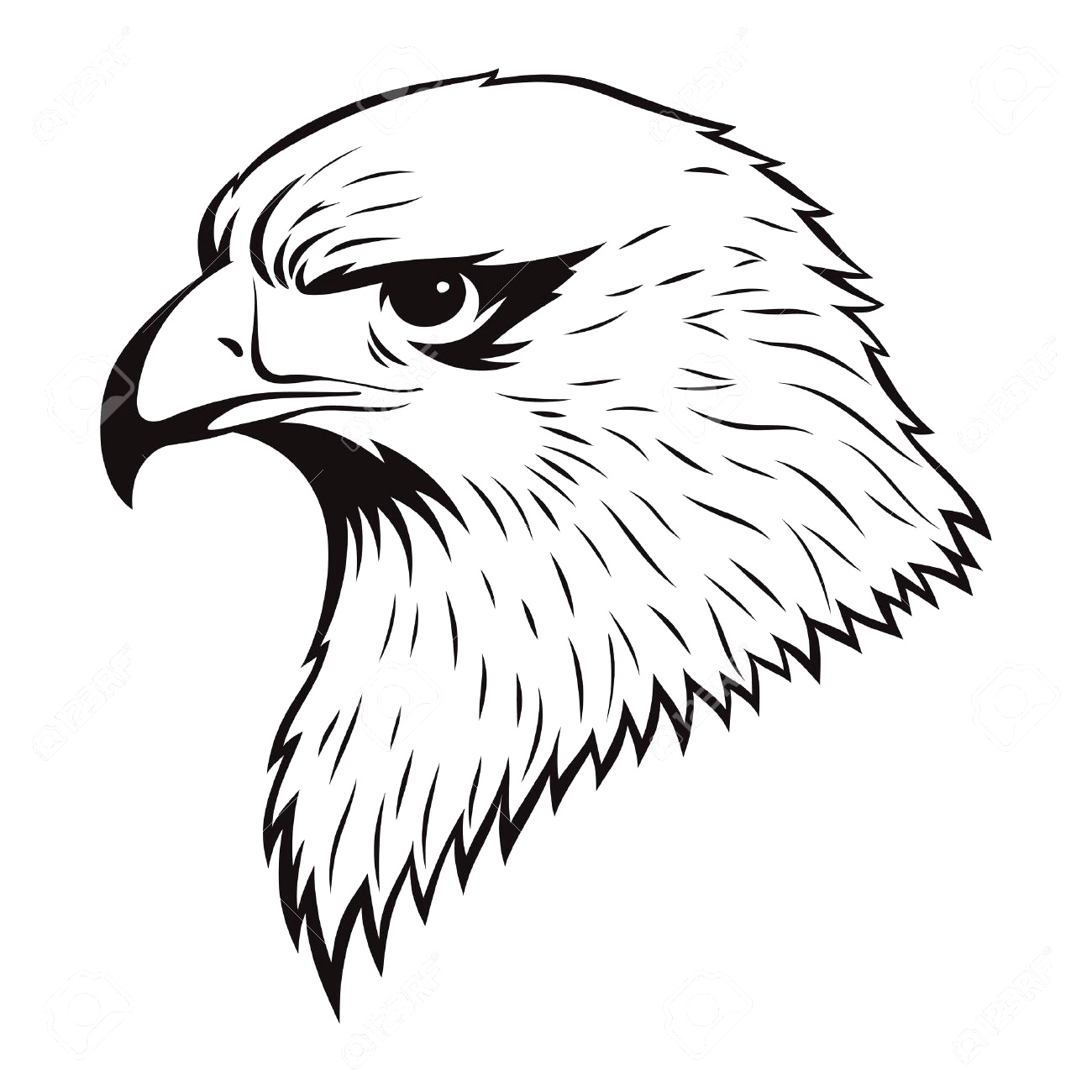 Free Cliparts Eagle Drawing Download Free Clip Art Free