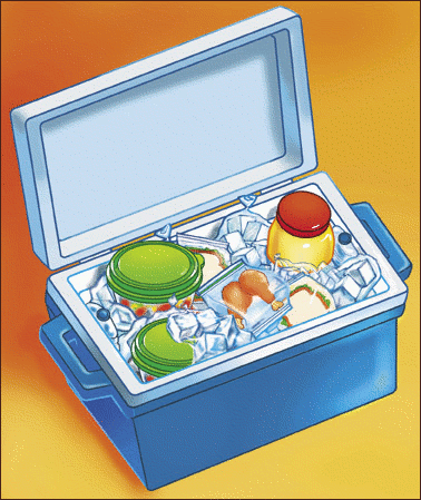 Ice In Cooler Clipart