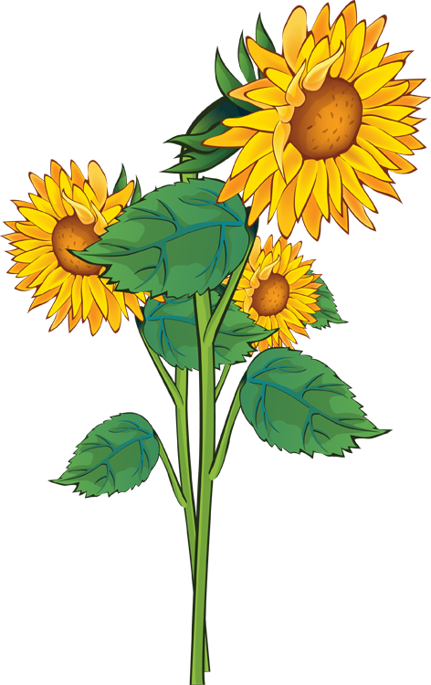 Summer Flowers Clipart