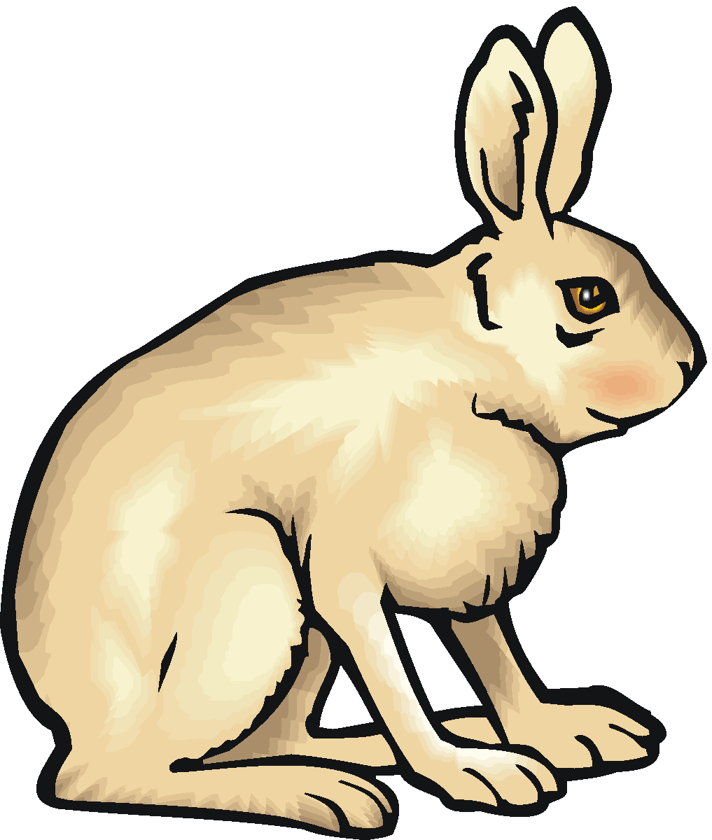 hare picture clipart