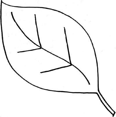 Simple leaf clip art black and white