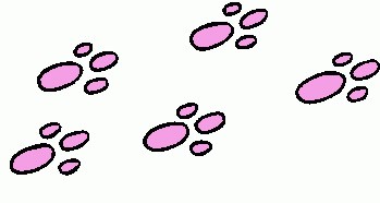 footprints clipart outline - Clip Art Library