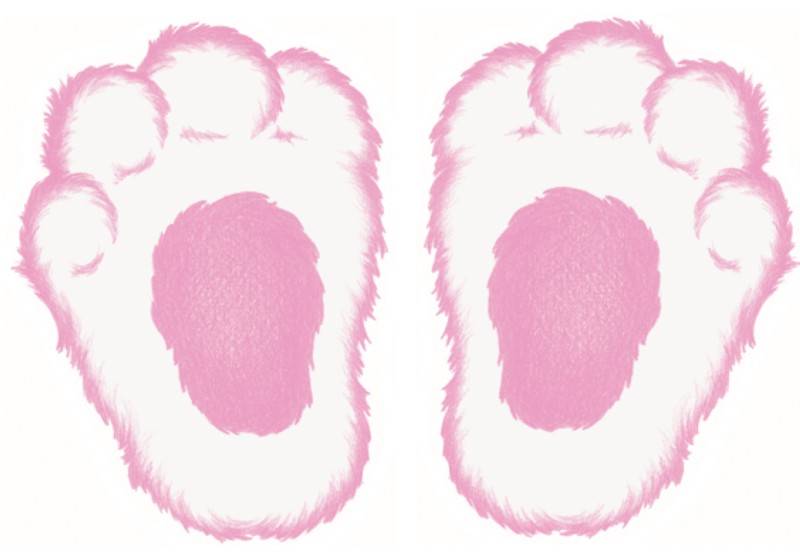 Clip Arts Related To : printable bunny paw print. view all Bunny Footprints...