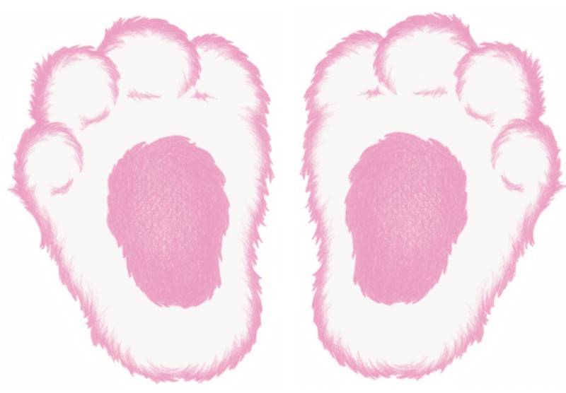 Printable Easter Bunny Footprints